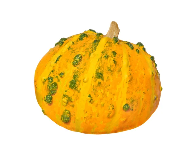 Yellow Pumpkin Green Spots White Background — Stock Photo, Image