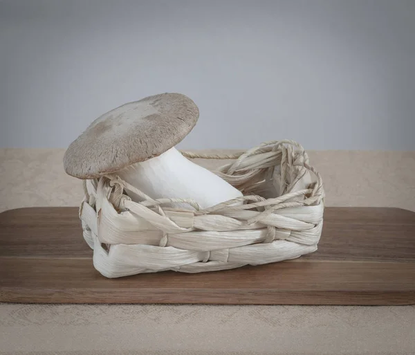 One Mushroom Small Basket Table — Stock Photo, Image