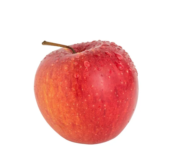 Red Apple Water Droplets White Background — Stock Photo, Image