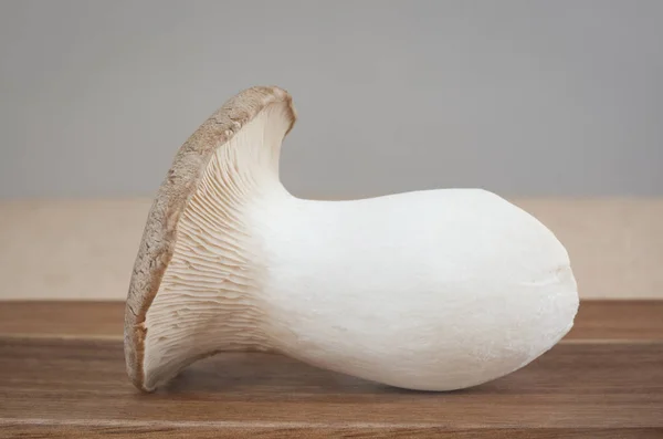 One King Trumpet Mushroom lies on a wooden board