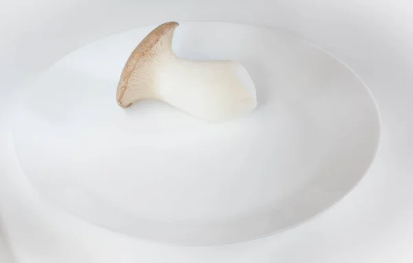 Champignon Sur Une Assiette Sur Fond Blanc — Photo