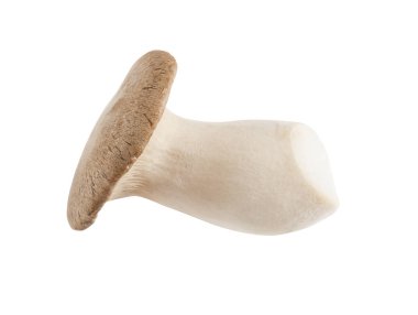 Beyaz bir arka plan üzerinde yatay bir biçimde mantar