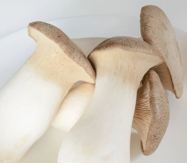 Several Mushrooms White Plate Close — Stock Photo, Image
