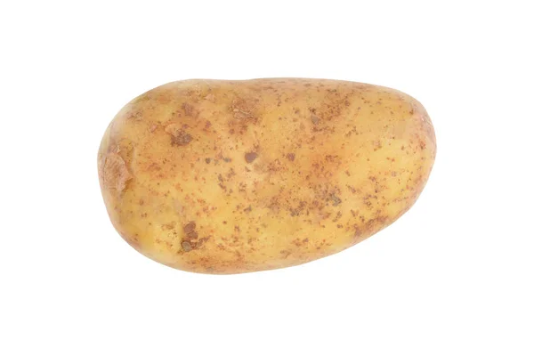 Raw Potato on a white — Stock Photo, Image