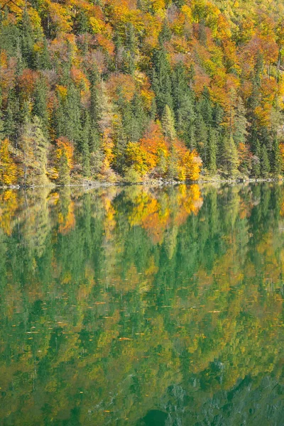 Autumn Forest Reflection Mountain Lake Vertical Format — Stock Photo, Image
