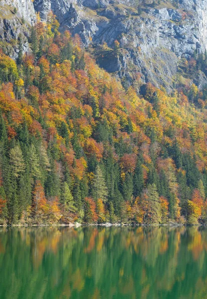 Sonbaharın başlarında ağaçlar ve bir dağ gölünde yansımalar