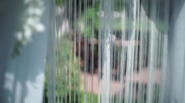 yaşayan çiçeklerin düğün kemer. törende ve ziyafette düğün süslemeleri