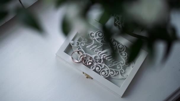 Wedding Decorative Box Wedding Rings — Stock Video