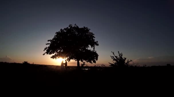 Pareja Enamorada Cogida Mano Besos Cerca Gran Árbol Atardecer — Vídeos de Stock