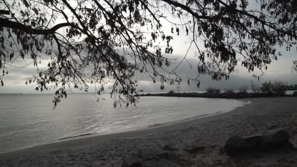 Sea Shore Beach Quay Waves Cloudy — Stock Video