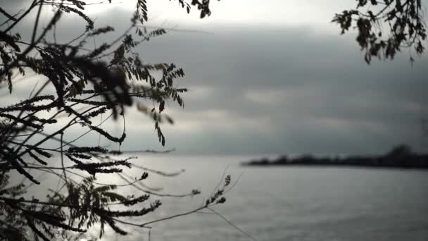 Deniz Kıyısı Plaj Rıhtım Dalgalar Bulutlu — Stok video