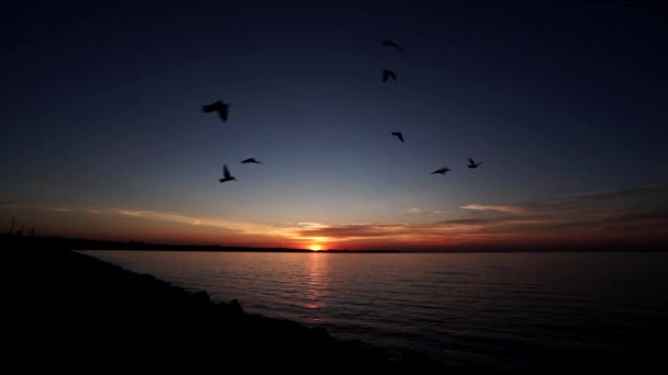 Rood Oranje Zonsopgang Aan Kust — Stockvideo