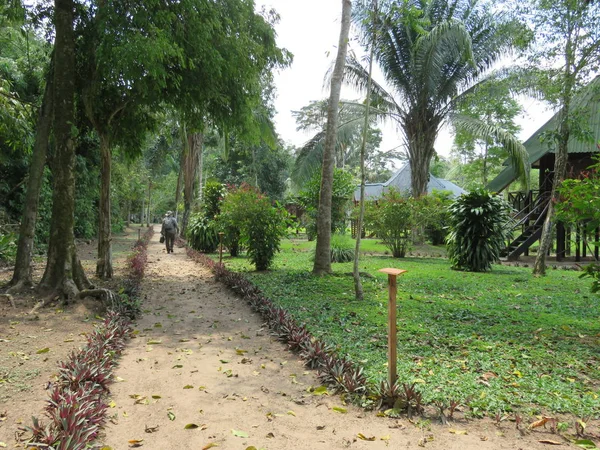 Amazon Echo Lodge Oostelijk Peru — Stockfoto