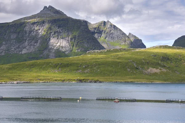 Landscape Reine Village Lofoten Islands Norway — Stock Photo, Image