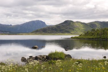 Eggum sahil Lofoten Adaları Norveç'te dağda