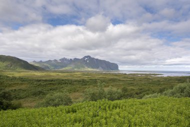 Eggum sahil Lofoten Adaları Norveç'te dağda