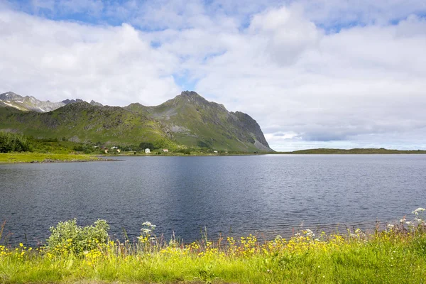在挪威的罗弗敦群岛莎莱海岸的山上 — 图库照片