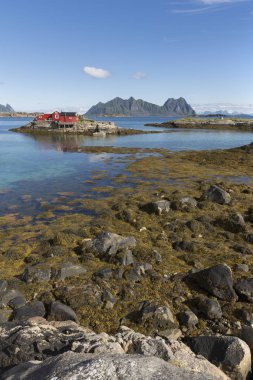panoramik deniz kenarı ve Adaları'nda Svolvaer, Norveç'te Lofoten