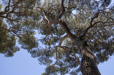 Cenova İtalya Portofino sahil boyunca deniz manzara