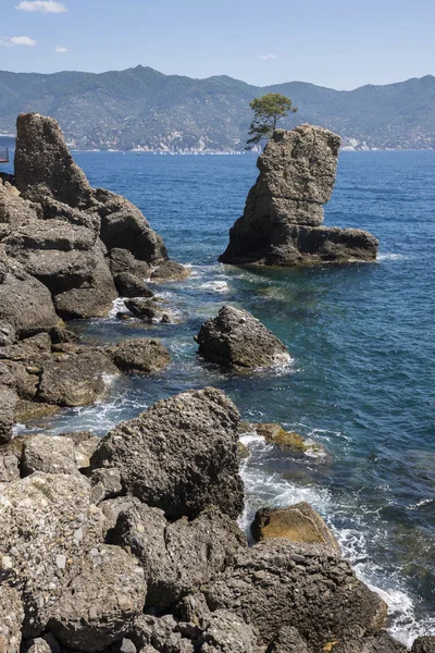 Landschappen Aan Zee Langs Kust Van Portofino Genua Italië — Stockfoto