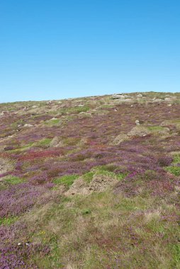 Lands End Cornwall manzaraya yaz aylarında görünümünü