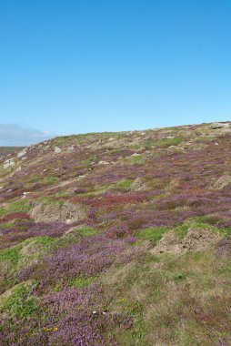 Lands End Cornwall manzaraya yaz aylarında görünümünü