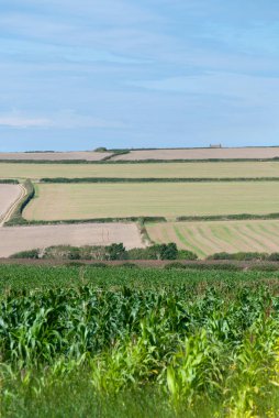 Hills ekili alanları ve saman balya Newquay, Cornwall