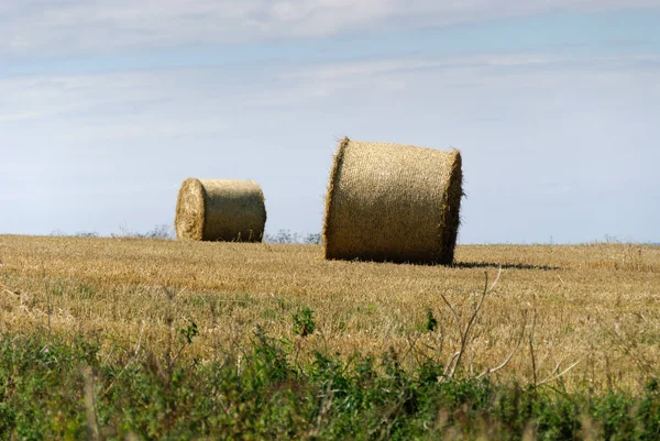 Hills Cultivated Fields Hay Bales Newquay Cornwall — Stock Photo, Image