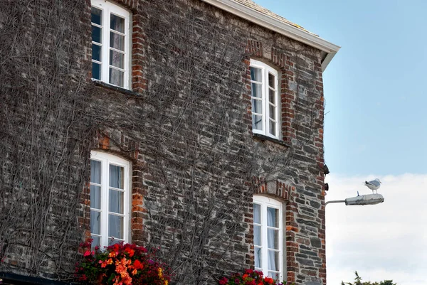 Huizen Het Dorp Padstow Cornwall — Stockfoto