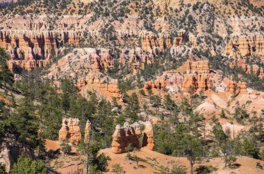 Amerika Birleşik Devletleri bryce Kanyon'a manzara