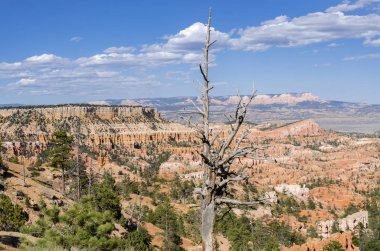 Amerika Birleşik Devletleri bryce Kanyon'a manzara