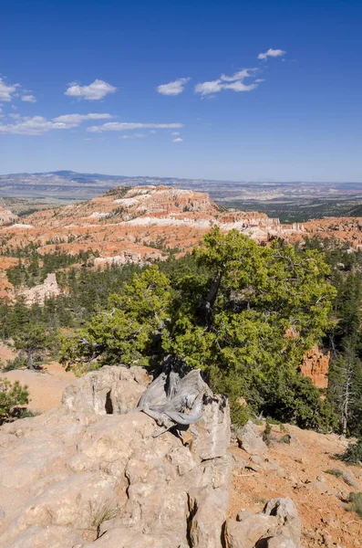 Τοπίο Σχετικά Bryce Canyon Για Τις Ηνωμένες Πολιτείες Της Αμερικής — Φωτογραφία Αρχείου