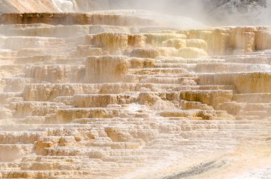 Wyoming Amerika'da mamut sıcak Springs termal yaylar