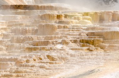Wyoming Amerika'da mamut sıcak Springs termal yaylar