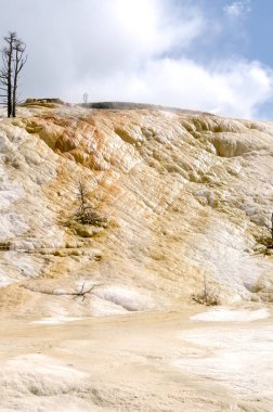 Wyoming Amerika'da mamut sıcak Springs termal yaylar