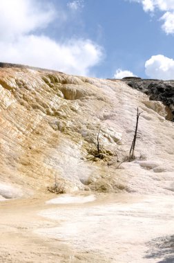 Wyoming Amerika'da mamut sıcak Springs termal yaylar