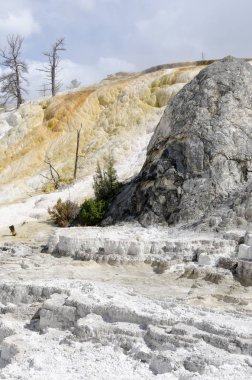 Wyoming Amerika'da mamut sıcak Springs termal yaylar