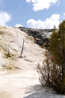 Wyoming Amerika'da mamut sıcak Springs termal yaylar
