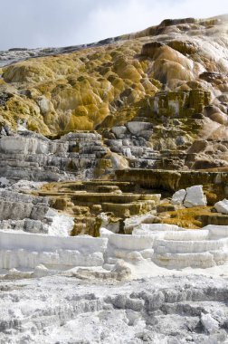 Wyoming Amerika'da mamut sıcak Springs termal yaylar