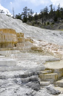 Wyoming Amerika'da mamut sıcak Springs termal yaylar