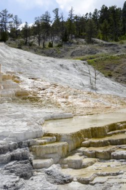 Wyoming Amerika'da mamut sıcak Springs termal yaylar