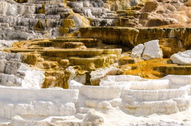 Wyoming Amerika'da mamut sıcak Springs termal yaylar