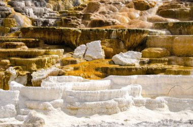 Wyoming Amerika'da mamut sıcak Springs termal yaylar