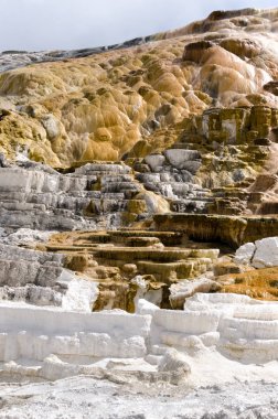 Wyoming Amerika'da mamut sıcak Springs termal yaylar