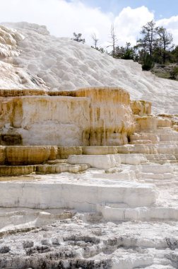 Wyoming Amerika'da mamut sıcak Springs termal yaylar