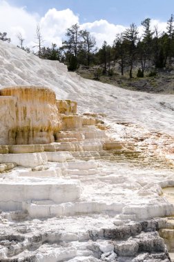 Wyoming Amerika'da mamut sıcak Springs termal yaylar