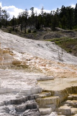 Wyoming Amerika'da mamut sıcak Springs termal yaylar
