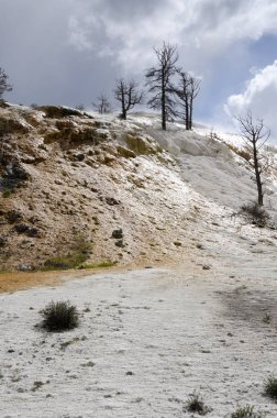 Wyoming Amerika'da mamut sıcak Springs termal yaylar