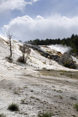 Wyoming Amerika'da mamut sıcak Springs termal yaylar