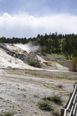 Wyoming Amerika'da mamut sıcak Springs termal yaylar